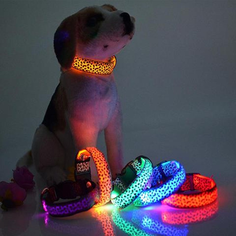 LED Dog Collar - Rechargeable Light Up Safety Collar for Night Walks