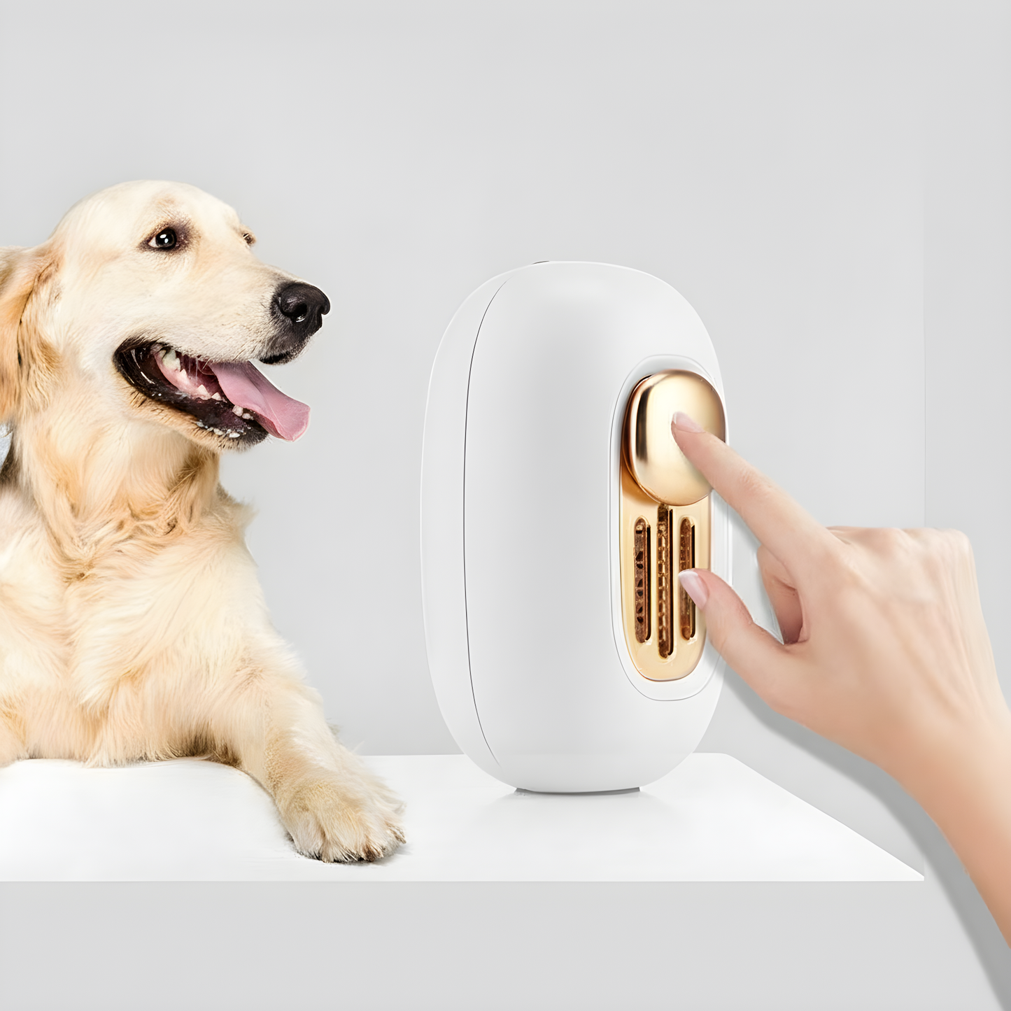 Smelly Pet Air Purification Deodorizer