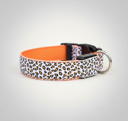 LED Dog Collar - Rechargeable Light Up Safety Collar for Night Walks