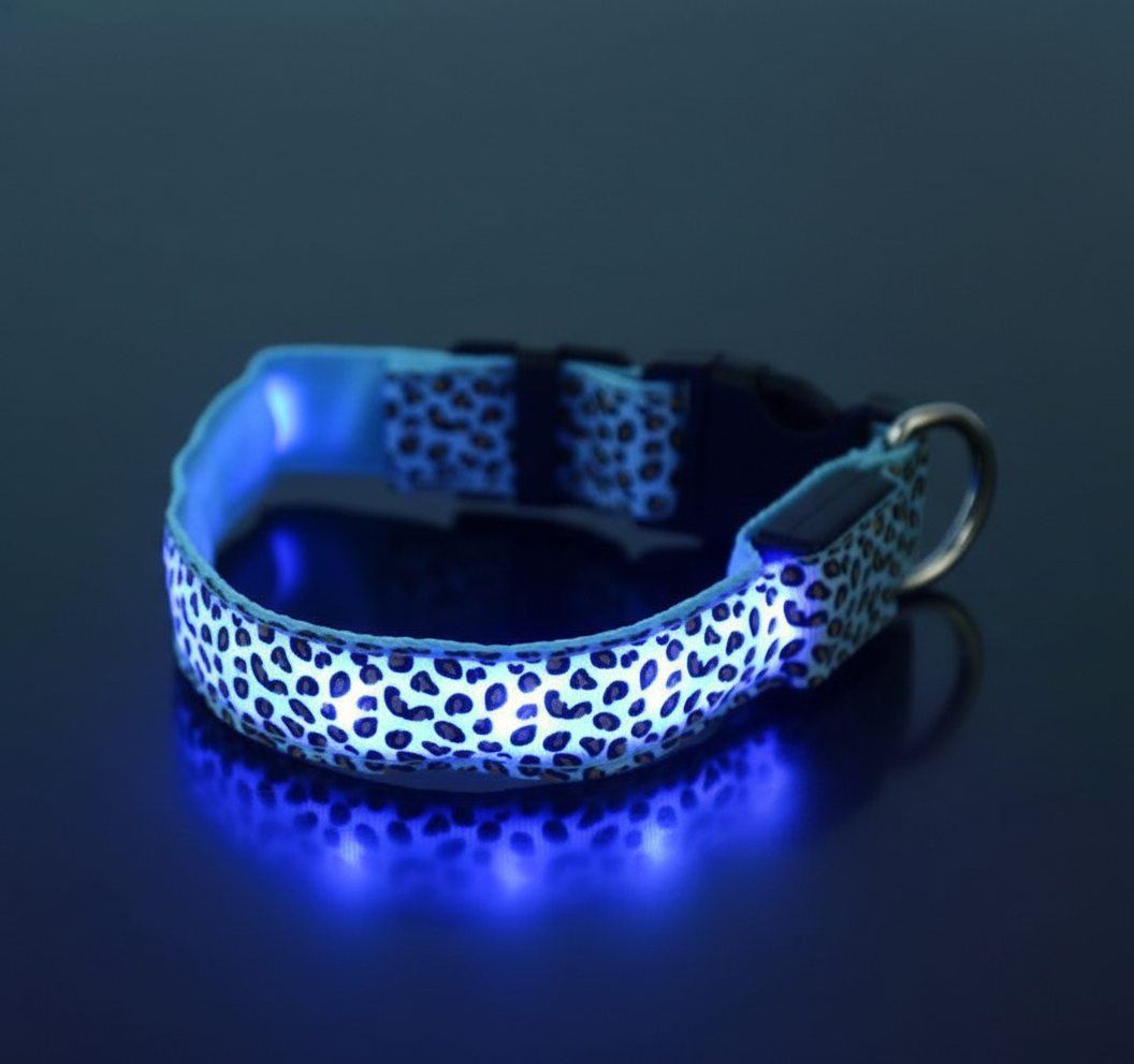 LED Dog Collar - Rechargeable Light Up Safety Collar for Night Walks