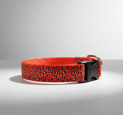 LED Dog Collar - Rechargeable Light Up Safety Collar for Night Walks